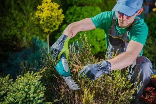 landscaping services New Bloomington